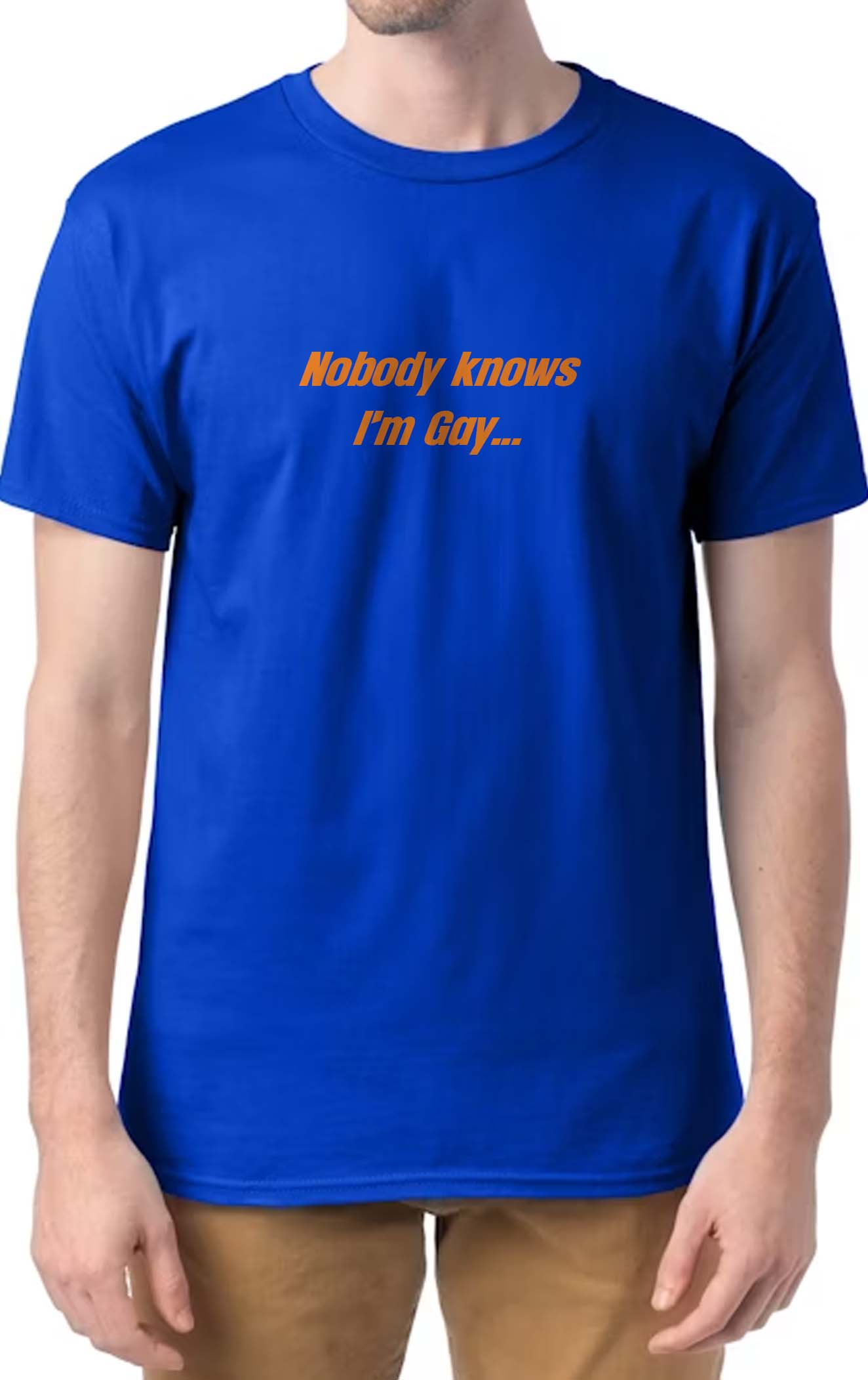 Nobody Knows I'm Gay Shirt