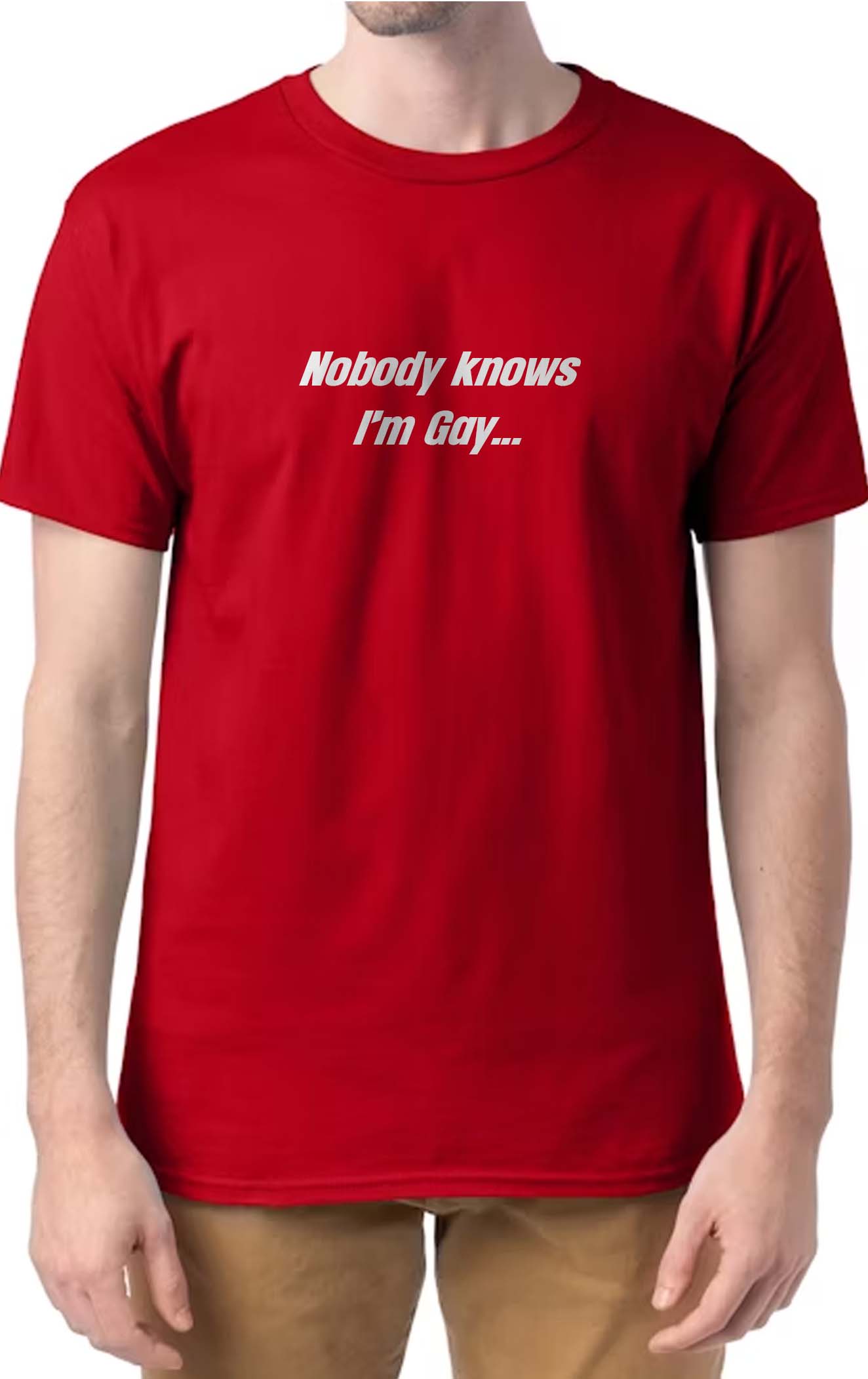 Nobody Knows I'm Gay Shirt